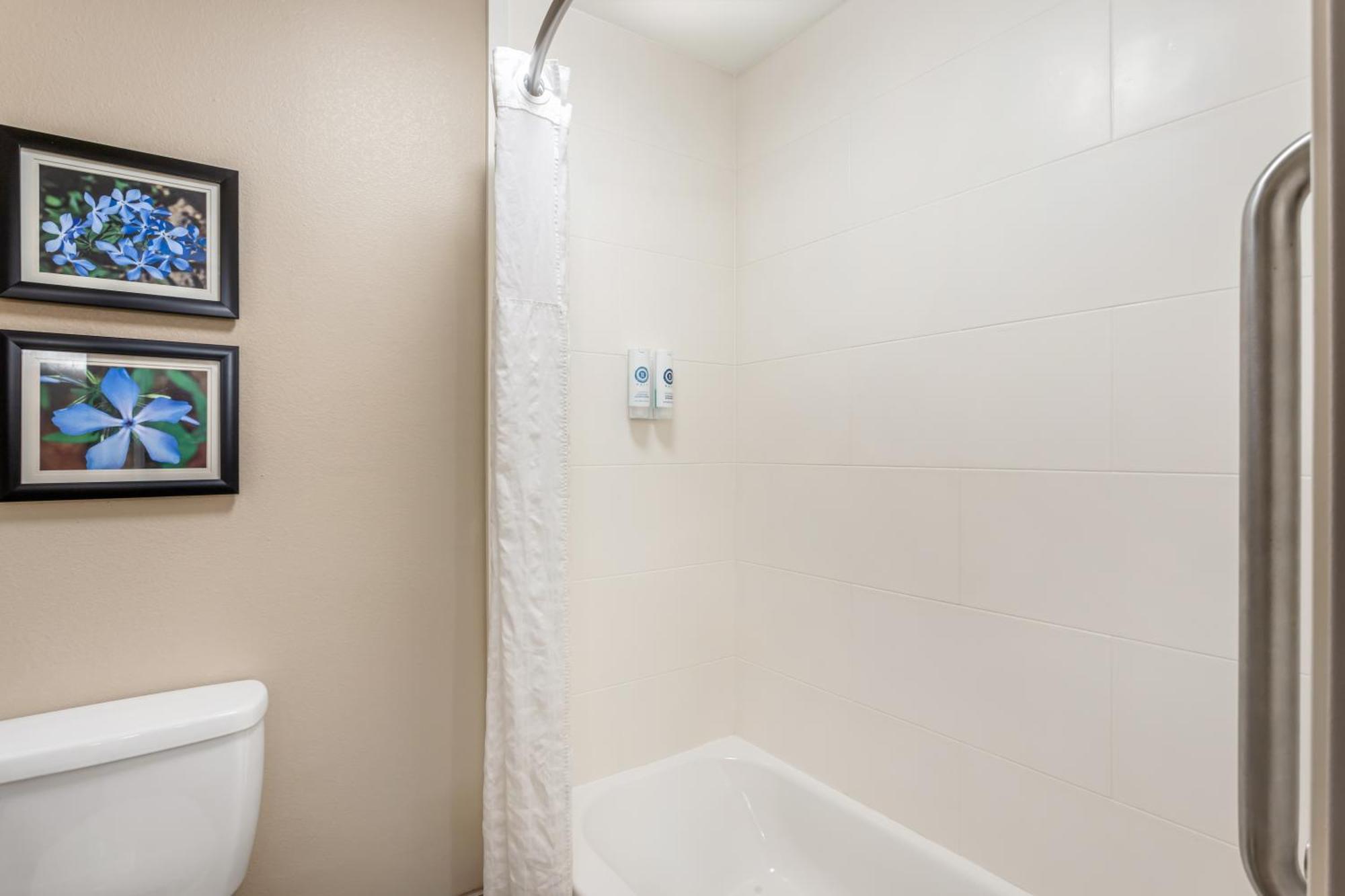 Comfort Inn & Suites Конвей Екстер'єр фото