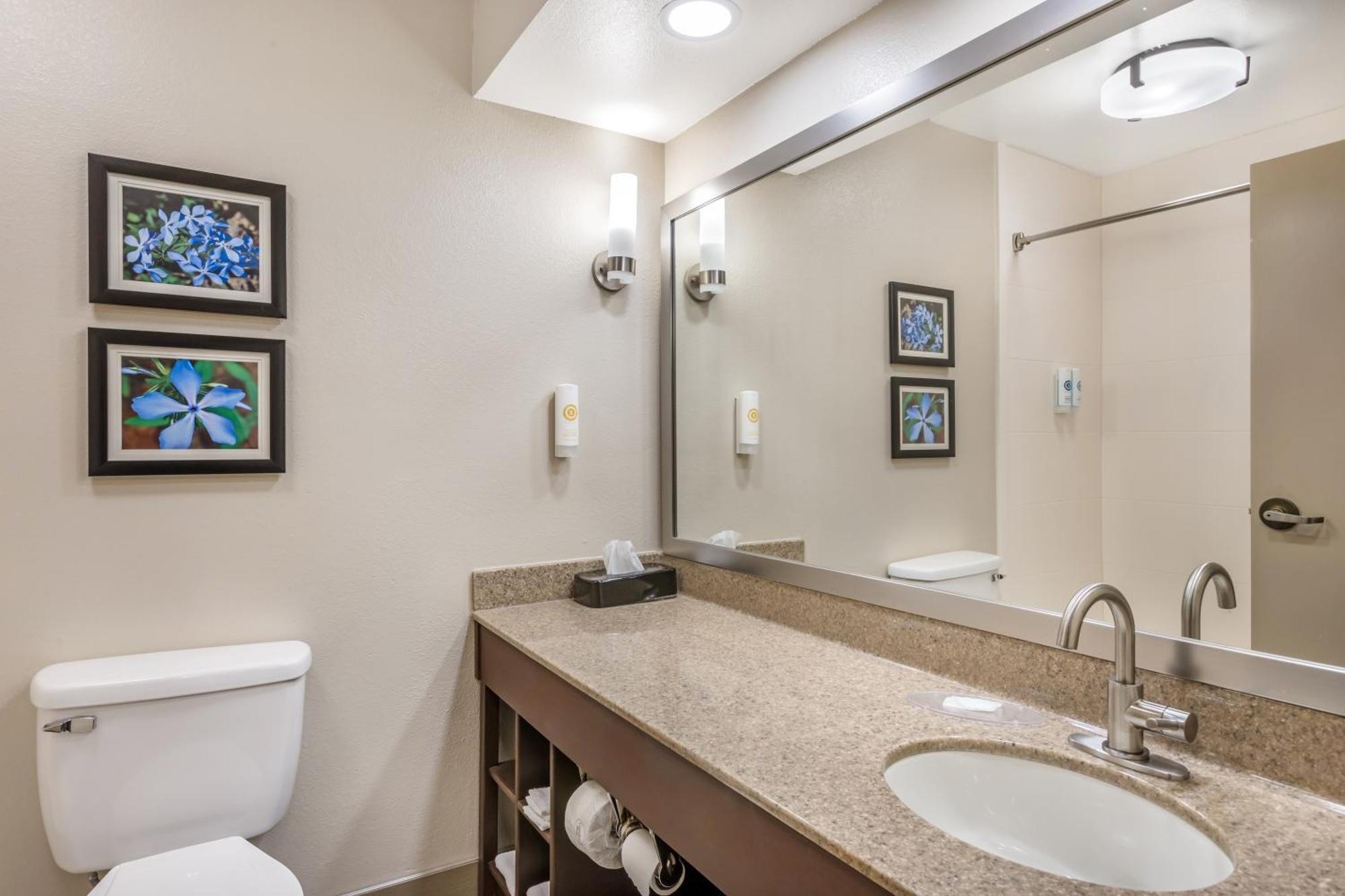 Comfort Inn & Suites Конвей Екстер'єр фото